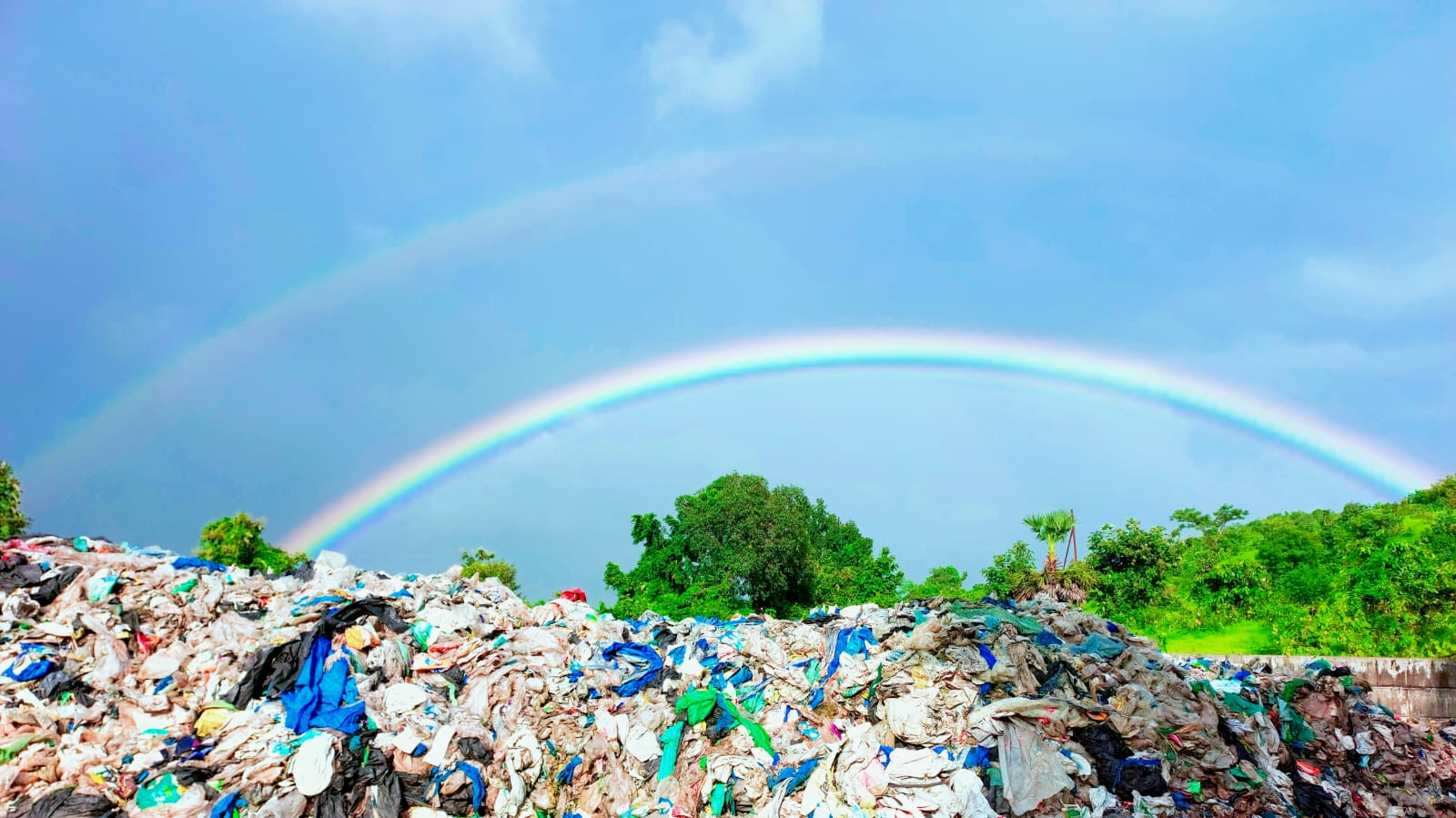 Plastic Waste to Circular Feedstock